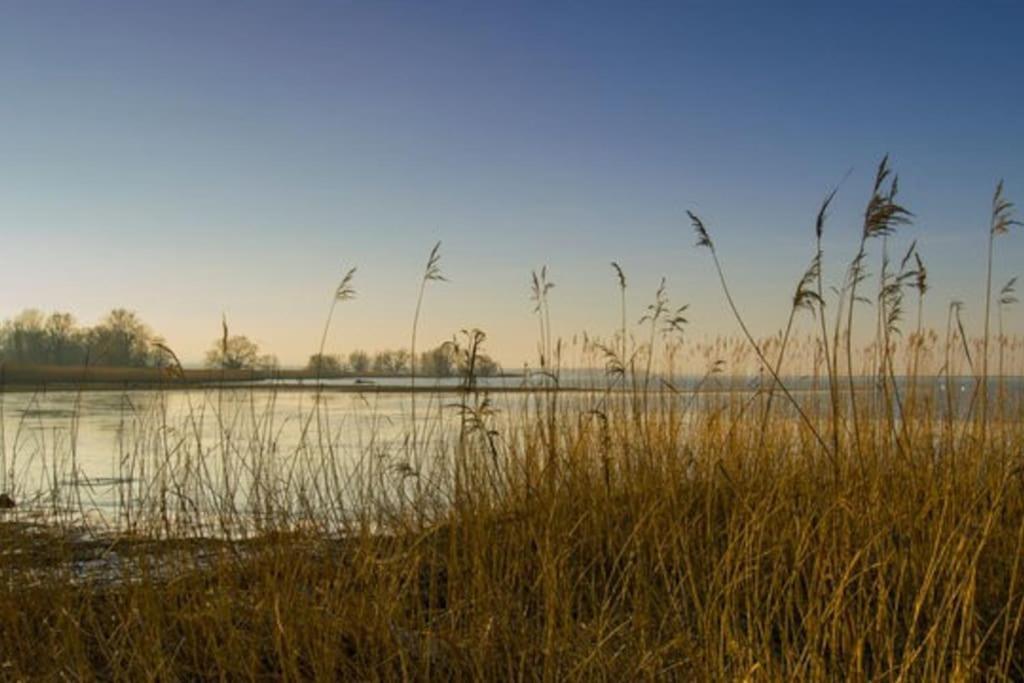 Gaissau  Bodensee Apartments, Sauna, Lake Walks, Free Parking, Self Checkin, Nature Reserve, Restaurants Nearby מראה חיצוני תמונה
