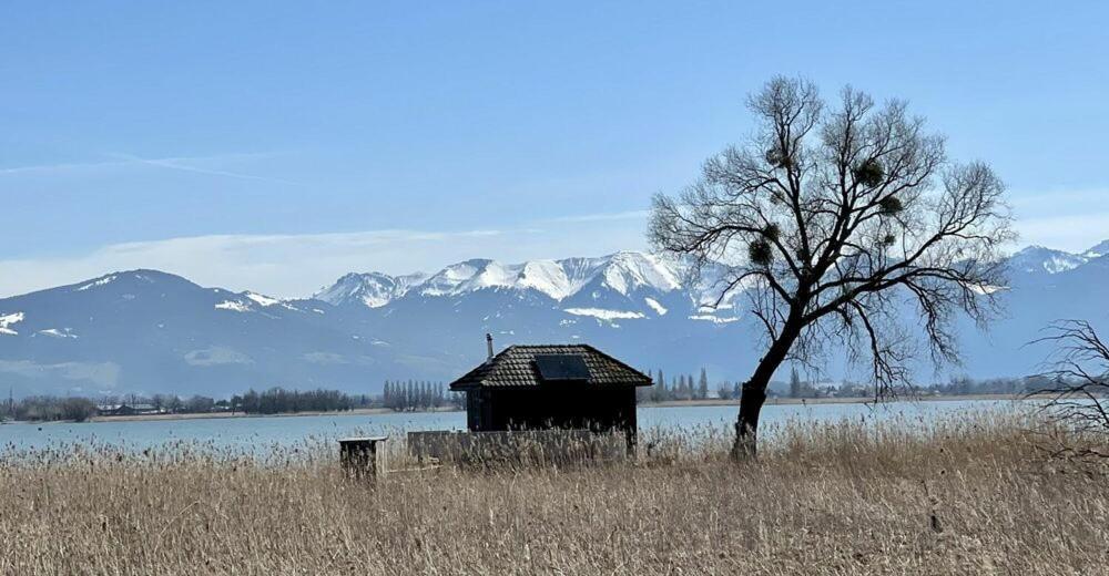 Gaissau  Bodensee Apartments, Sauna, Lake Walks, Free Parking, Self Checkin, Nature Reserve, Restaurants Nearby מראה חיצוני תמונה