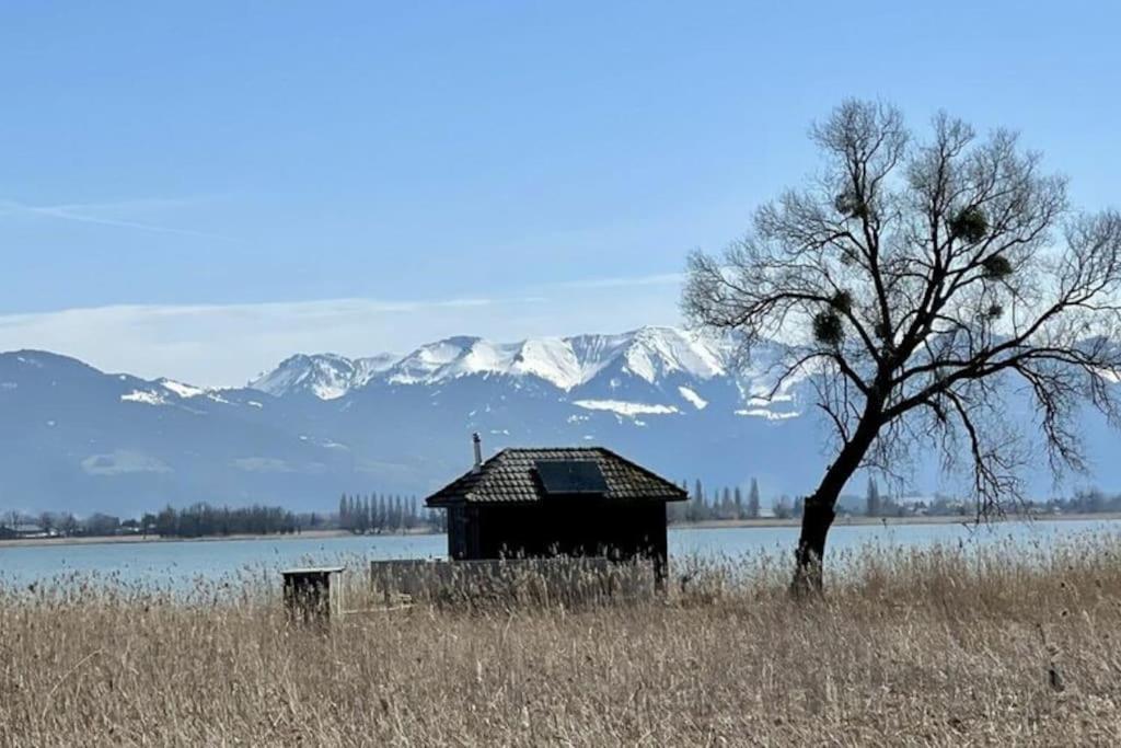 Gaissau  Bodensee Apartments, Sauna, Lake Walks, Free Parking, Self Checkin, Nature Reserve, Restaurants Nearby מראה חיצוני תמונה