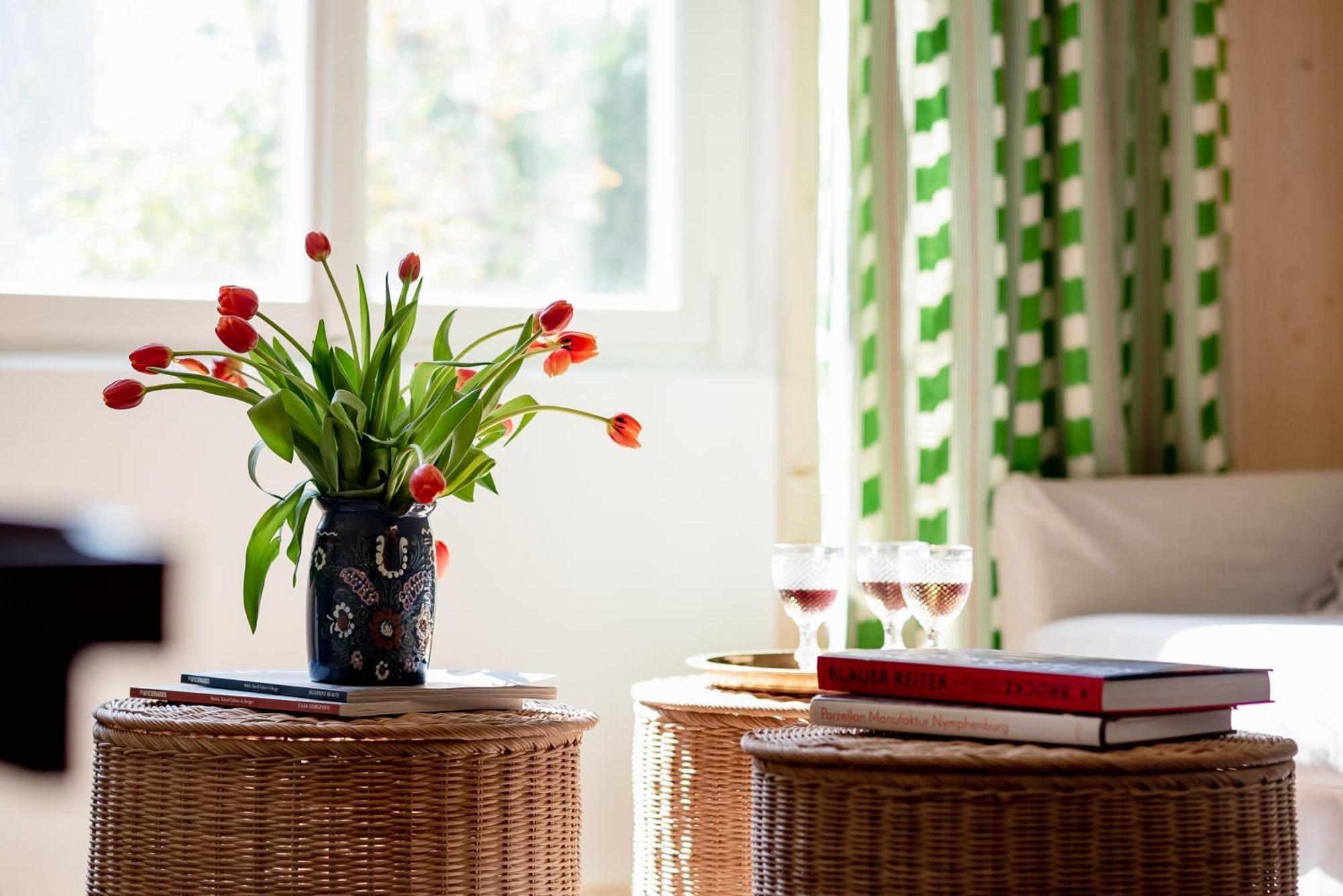 Gaissau  Bodensee Apartments, Sauna, Lake Walks, Free Parking, Self Checkin, Nature Reserve, Restaurants Nearby מראה חיצוני תמונה